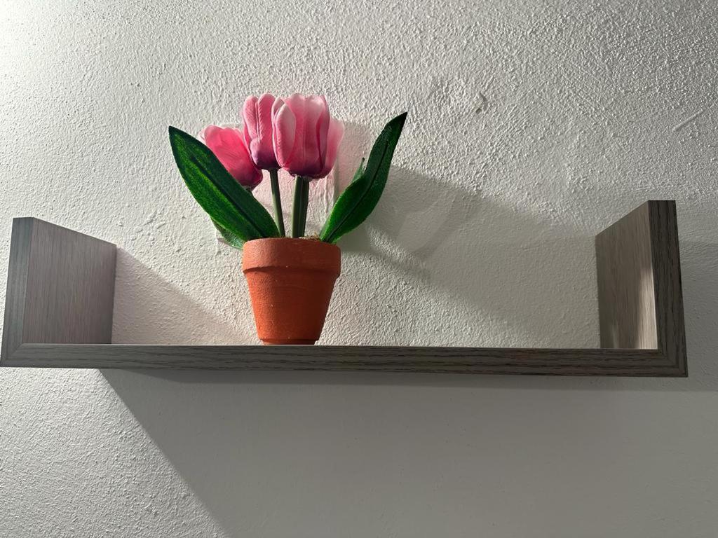 Papireto'S Home Palermo Ngoại thất bức ảnh
